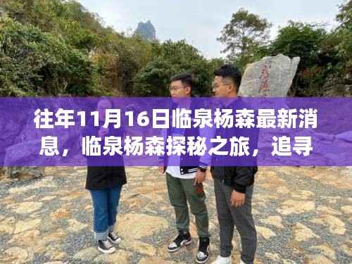 临泉杨森探秘之旅,追寻自然美景,心灵宁静之旅的最新消息