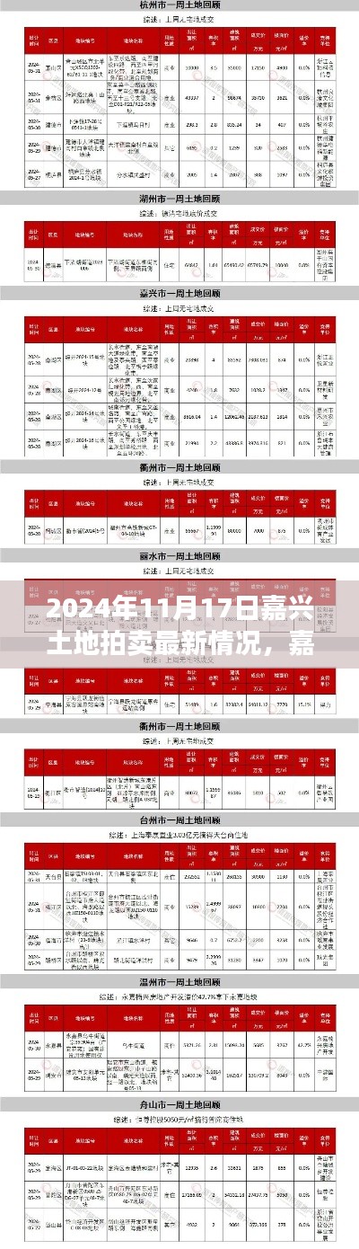 嘉兴土地拍卖热潮再起,最新动态揭秘
