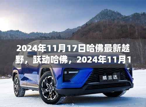 跃动哈佛,2024年11月17日新越野之旅的自信与成就感