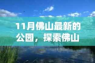 揭秘佛山新秘境,十一月最新开放公园风采探索