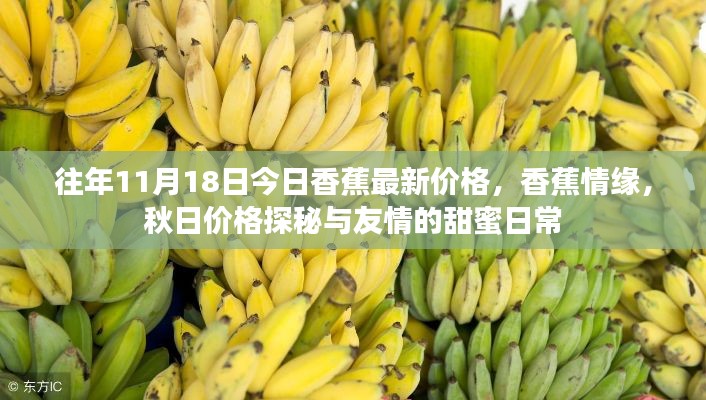 往年11月18日香蕉情缘,秋日价格探秘与甜蜜友情的日常