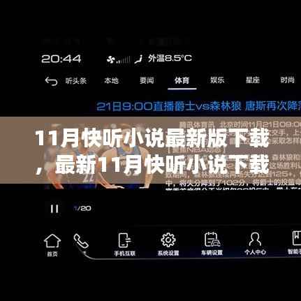 最新指南,11月快听小说下载教程,从初学者到进阶用户的详细步骤