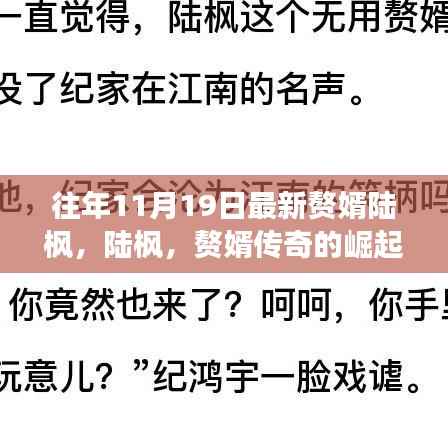 赘婿陆枫崛起之路,十一月十九日的荣光与传奇影响