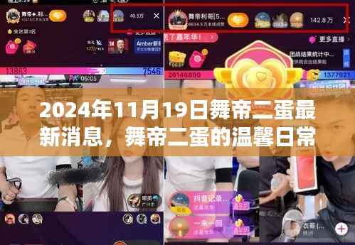 舞帝二蛋最新动态,温馨日常与快乐时光(2024年11月19日)