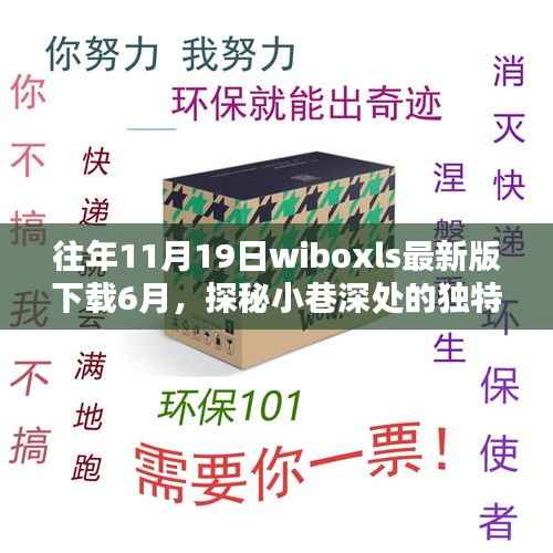 探秘小巷深处的独特风味,六月新发现wiboxls特色小店等你来探索