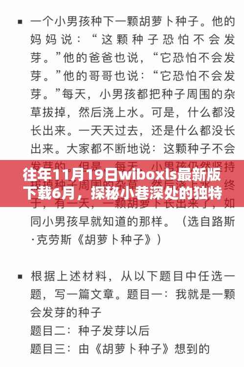 探秘小巷深处的独特风味,六月新发现wiboxls特色小店等你来探索