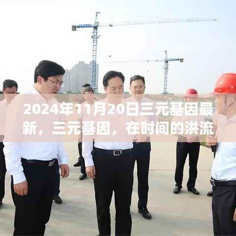 三元基因在时间的洪流中的璀璨明珠,记最新进展与影响(2024年11月20日)