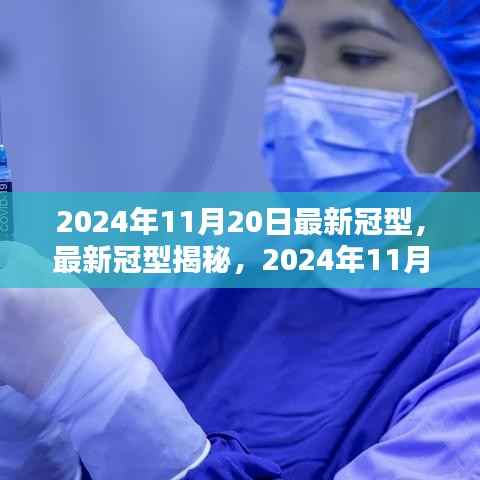 揭秘最新冠型,全球疫情动态与应对策略(2024年11月20日更新)