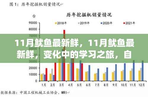 11月鱿鱼盛宴,新鲜海鲜的学习之旅与自信成就感的汇聚
