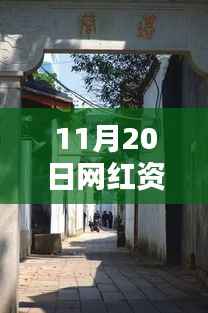 独家揭秘!网红新宠神秘特色小店,小巷深处的最新资讯与秘密曝光(11月20日更新)