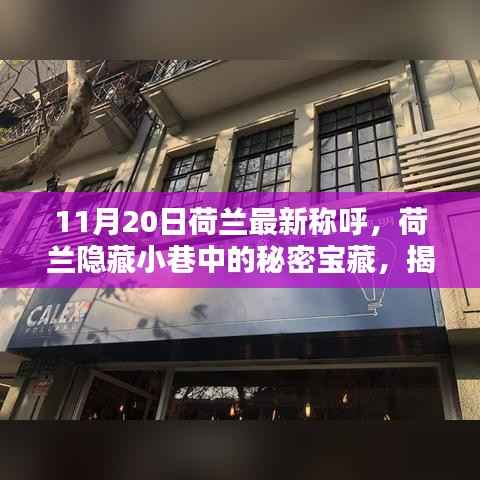 荷兰隐藏小巷中的独特宝藏,揭秘最新称呼的神秘小店(11月20日)