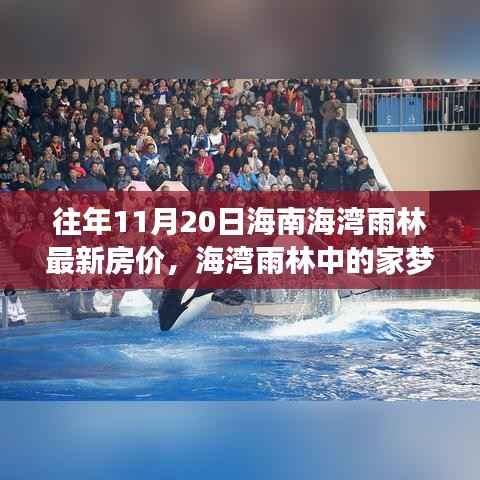 海湾雨林房价揭秘,家梦奇缘与温馨对话日纪实录