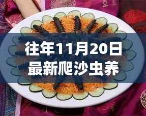 揭秘最新爬沙虫养殖技术,开启财富之门,往年11月20日深度解析与实战指南