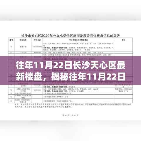 往年11月22日长沙天心区最新楼盘,揭秘往年11月22日长沙天心区最新楼盘,三大看点深度解读