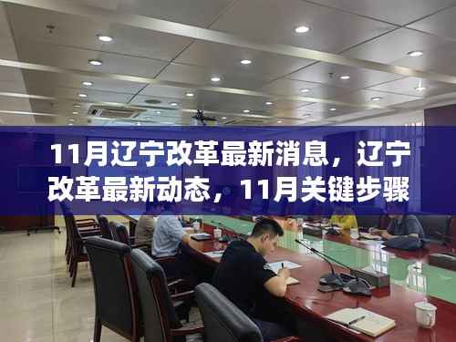 辽宁改革最新动态,11月关键步骤指南及初学者进阶必读资讯