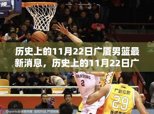 历史上的11月22日广厦男篮深度报道与全面评测,最新消息与深度介绍
