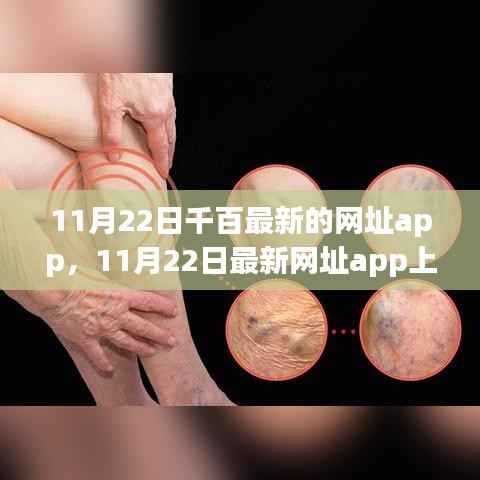 警惕风险犯罪问题,最新网址app上线,11月22日千百最新网址app解析