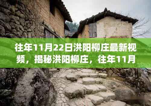 往年11月22日洪阳柳庄揭秘,最新视频探秘与解读要点详解