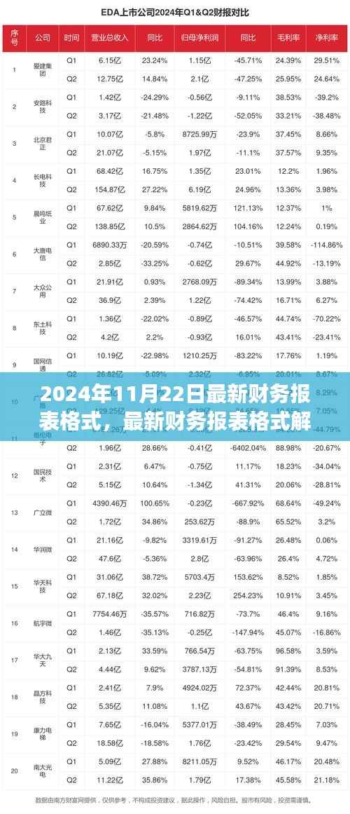 聚焦财务变革，解析最新财务报表格式与解析（2024年11月22日版）