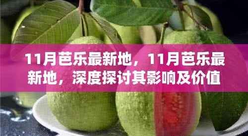 深度探讨,11月芭乐最新动态及其影响与价值