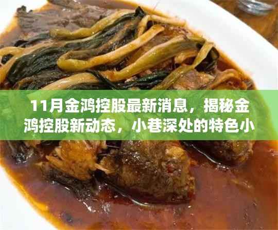 揭秘金鸿控股最新动态,小巷深处的特色小店探索之旅