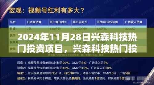 兴森科技热门投资项目深度解析,聚焦2024年11月28日的关注焦点