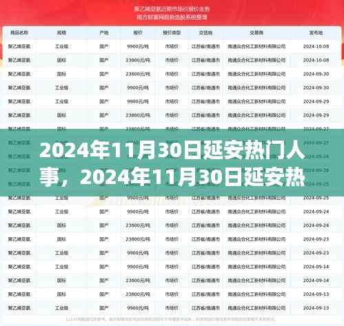 2024年11月30日延安热门人事全览