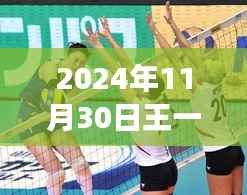 王一梅重磅新闻揭秘,热议背后的真相探究(2024年11月30日)