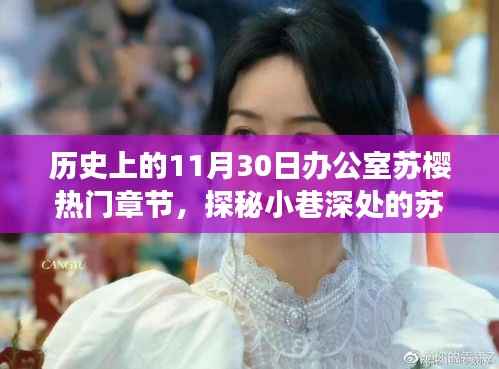 历史与美食的奇妙之旅，探秘苏樱办公室热门章节的邂逅之旅