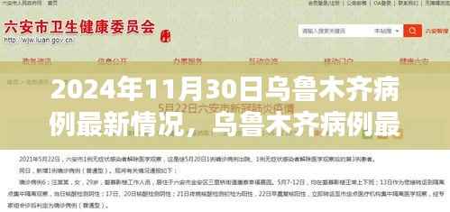 2024年11月30日乌鲁木齐病例最新情况及深度评测