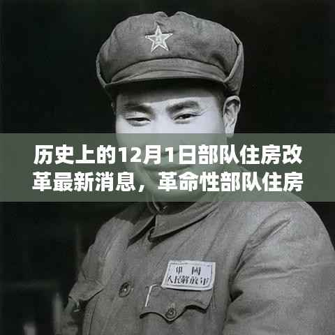 肝胆相照 第13页