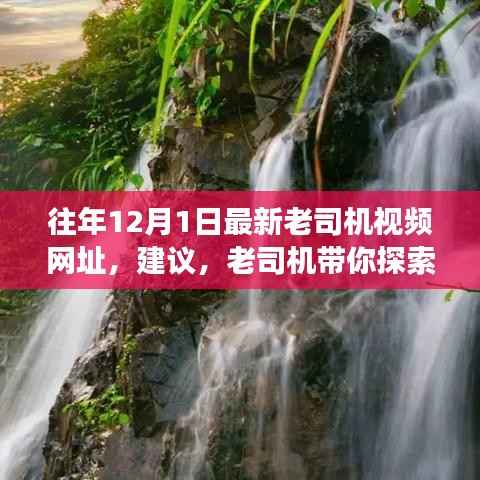 往年12月1日最新老司机视频网址,建议,老司机带你探索自然秘境,一场远离尘嚣的心灵之旅