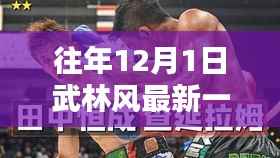 武林风最新一期2017128评测介绍,特性、体验、对比与用户分析