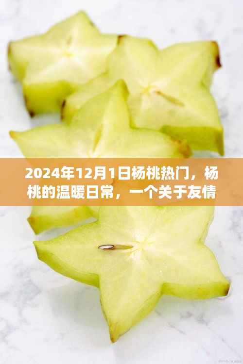 杨桃的温暖日常,友情、爱与陪伴的温馨故事,杨桃热潮来袭!