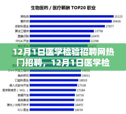 12月医学检验招聘热点解析,岗位热度背后的观点探讨