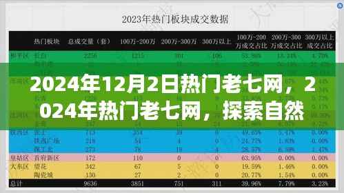 探索自然美景之旅,热门老七网带你寻找内心的宁静与平和(2024年12月2日)