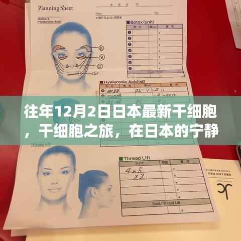 日本干细胞之旅,探寻生命奇迹与自然美景的宁静角落