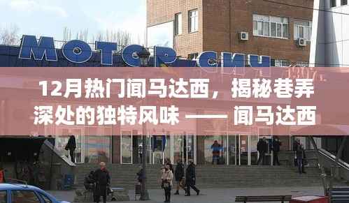 闻马达西小店探秘之旅,巷弄深处的独特风味揭秘