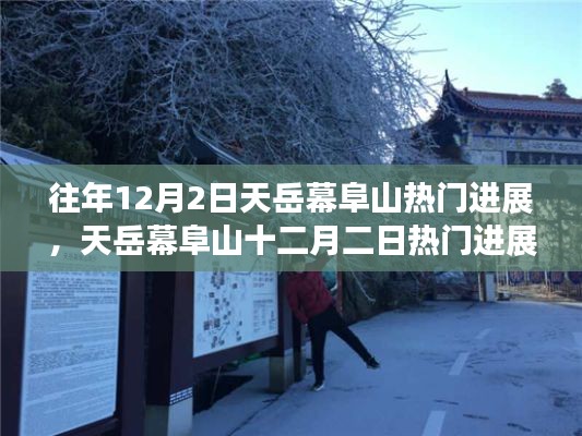 天岳幕阜山12月2日进展概览,热门进展悉数呈现