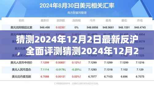 2024年12月2日最新反沪全面评测,特性、体验、竞品对比及用户群体深度分析