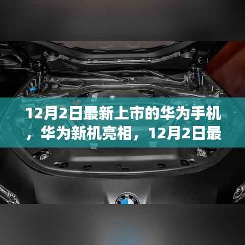 华为新机亮相,12月2日最新上市手机解析