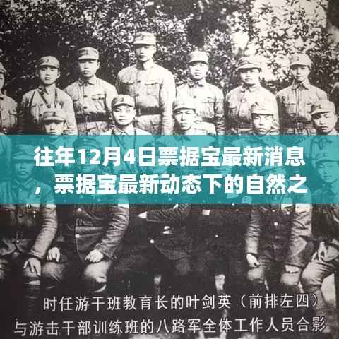 票据宝最新动态下的自然之旅,寻找内心平静的奇妙探险之旅