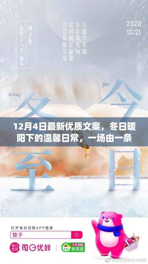 冬日暖阳下的文案奇缘，温馨日常的美丽邂逅