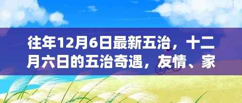 十二月六日五治奇遇,友情、家庭与爱交织的温暖之旅