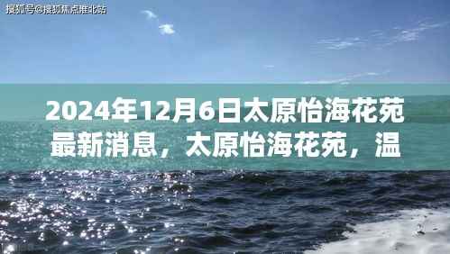 太原怡海花苑,温馨日常的欢乐时光(最新消息更新,2024年12月6日)