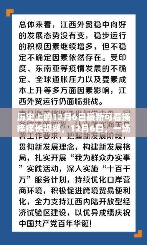 12月6日,挠痒痒引发的欢乐历史长视频