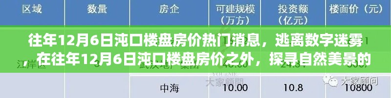 逃离数字迷雾,探寻沌口楼盘房价背后的自然诗意之旅(往年12月6日热门消息)