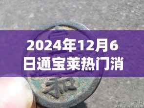 通宝莱2024年12月6日,温馨日常与奇遇友情的交织