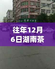 湖南茶陵县车祸事件深度剖析,关注安全驾驶,重塑公众意识提醒警醒时刻来临