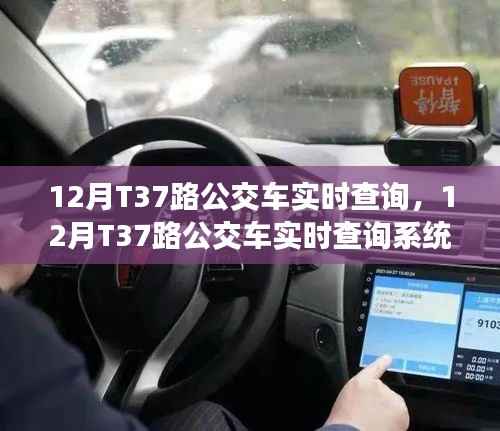 深度评测与介绍,12月T37路公交车实时查询系统